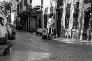 Bitcoin Price Not Driven by MicroStrategy VanEck Expert Reveals