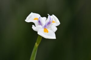 AI Glitch in Fortnite Gaming AI Raises Web3 Security Concerns