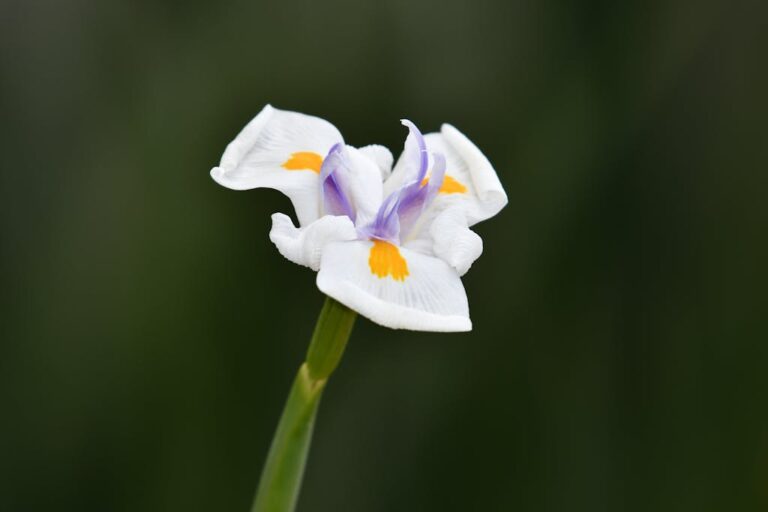 AI Glitch in Fortnite Gaming AI Raises Web3 Security Concerns