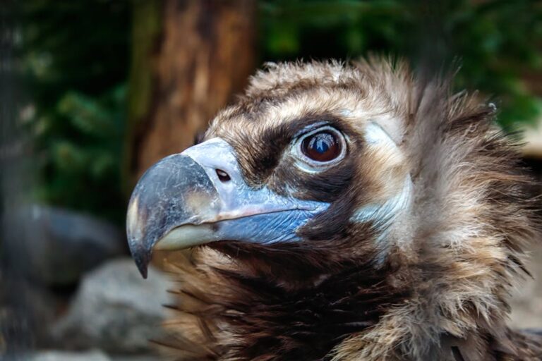 Ethereum Gas Fees Soar as Plasma ICO Raises 500M in Historic Sale